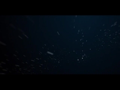 IP66 наружное светодиодное ландшафтное освещение 10 Вт COB