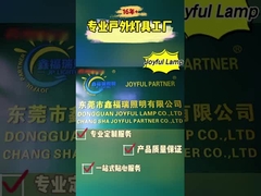 Почему Джойфл Ламп доверяет более ста клиентов?