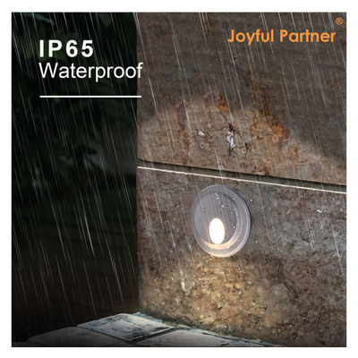 Поверхностный стенный монтаж постоянного тока Внешний стенный пакет свет OEM ODM