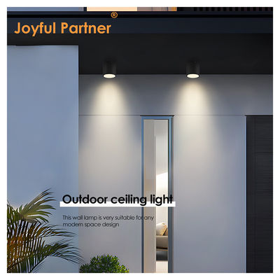 Spot Garden LED Ceiling Light Surface Mounted Cylindrical Aluminum 220V 8W 3000K Теплый белый