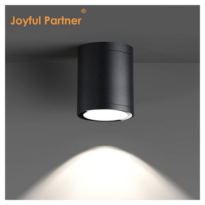 12W COB LED Downlight Цилиндровый настенный монтаж света компактный дизайн поверхности для наружного применения