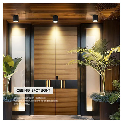 12W COB LED Downlight Цилиндровый настенный монтаж света компактный дизайн поверхности для наружного применения