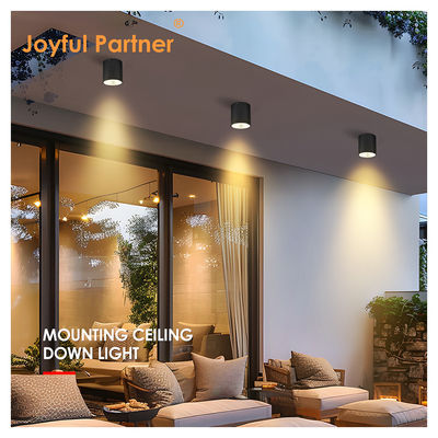 Светодиодный темный цилиндр Стенное освещение для наружного сада Стенное освещение Дневной свет COB Al Материал с услугами OEM